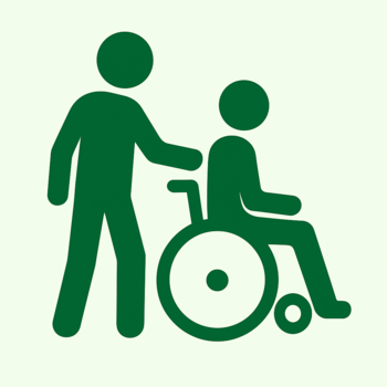 Asystent osobisty osoby z niepełnosprawnością